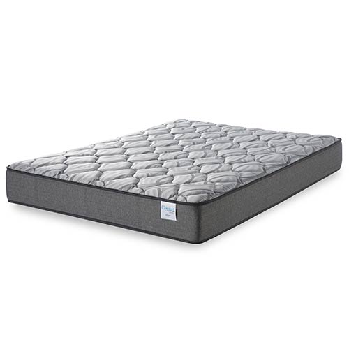 Comfort Sleep Newcastle Plush Queen Mattress