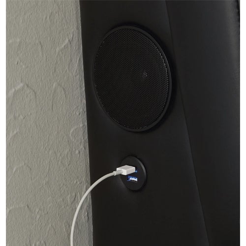Signature Design by Ashley Beckilore Queen Sound Bed in Black