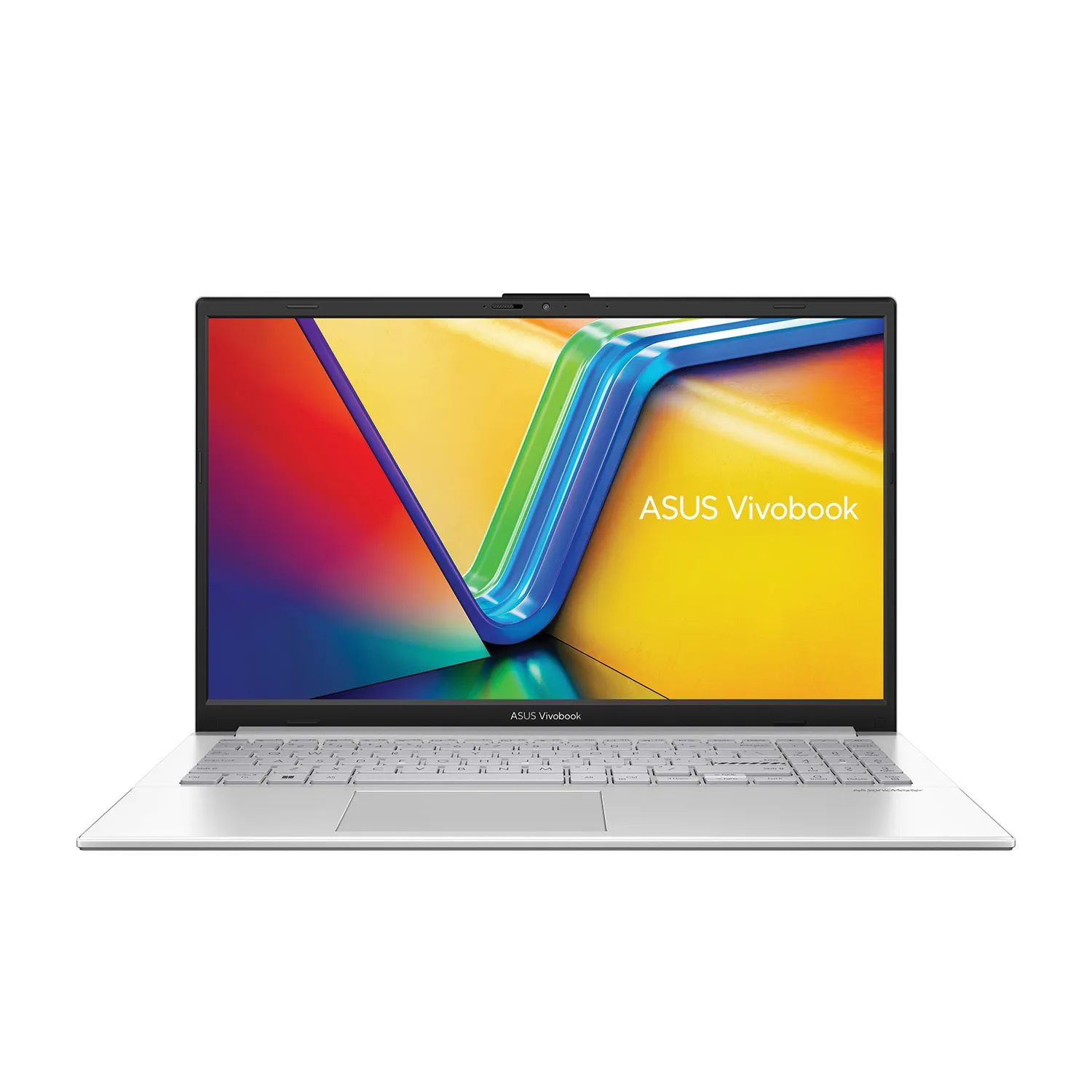 Asus Vivobook Go 15 - Silver