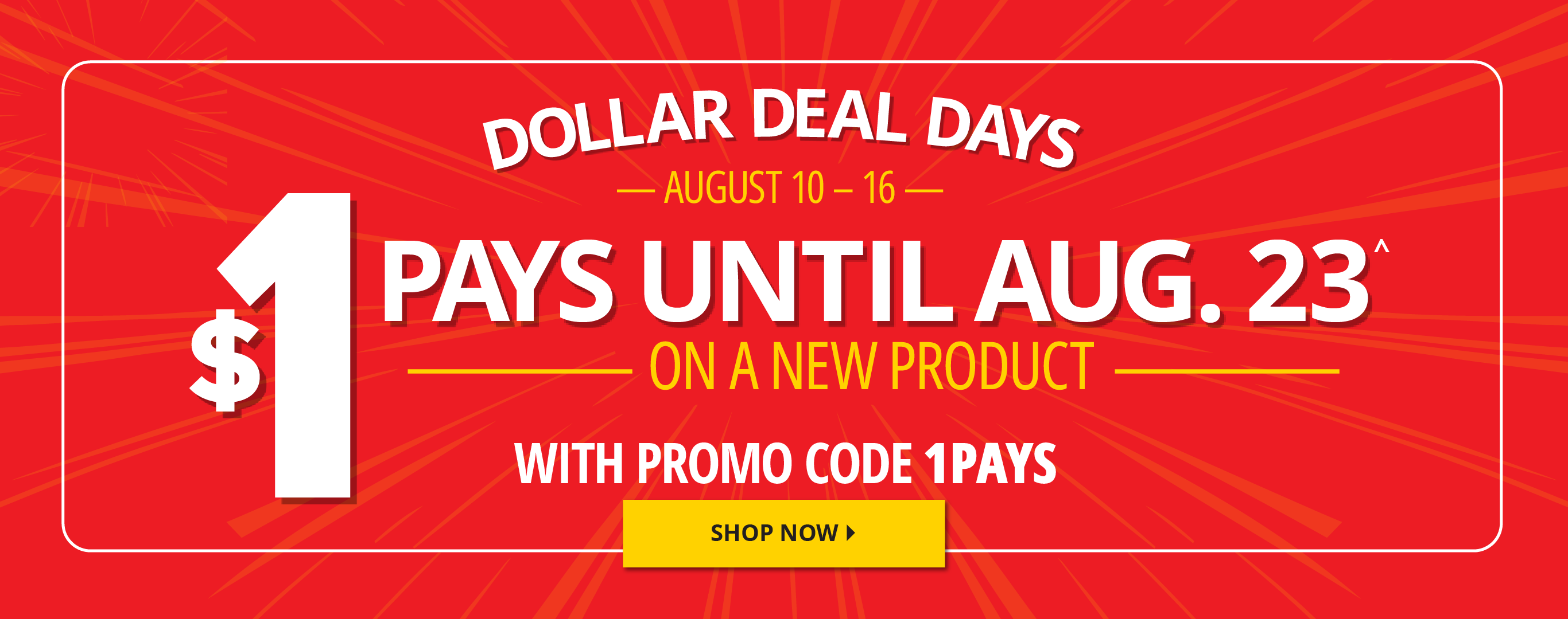 Shop Now 
