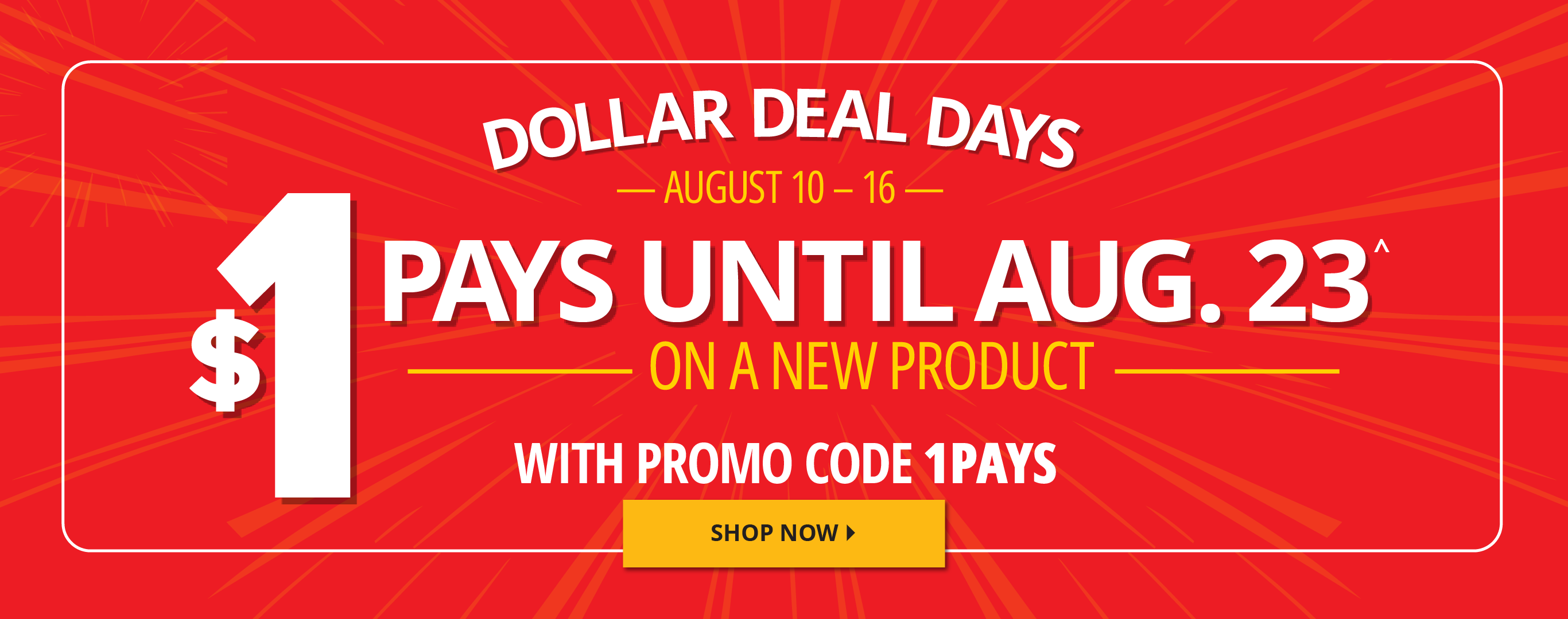 Shop Now 