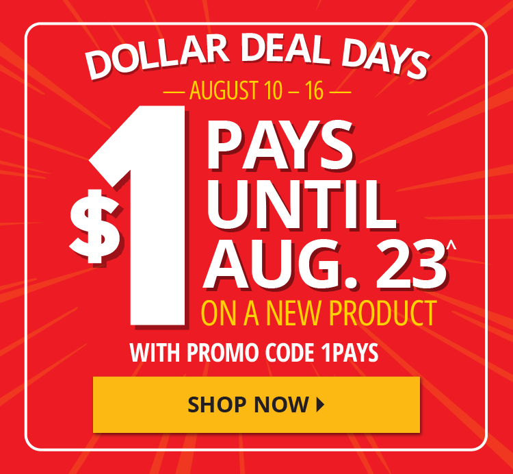 Shop Now 