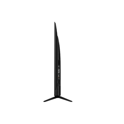 TCL 55