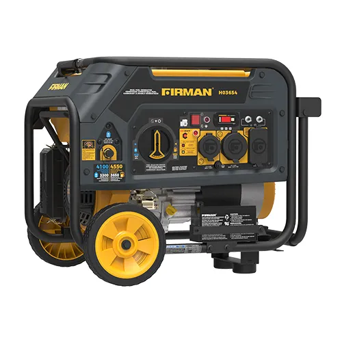 Dual Fuel Portable Generator 4550/3650W Electric Start